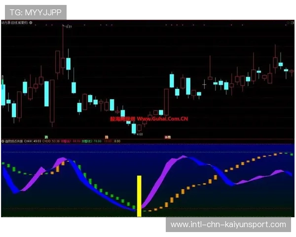 整体提升胜率持续走高